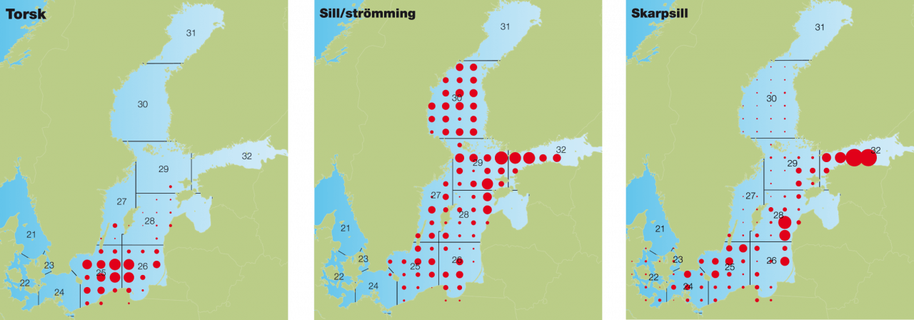Beståndsindex för torsk, sill och skarpsill