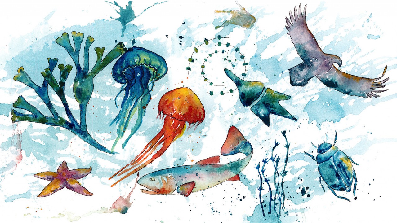 Illustration mångfald