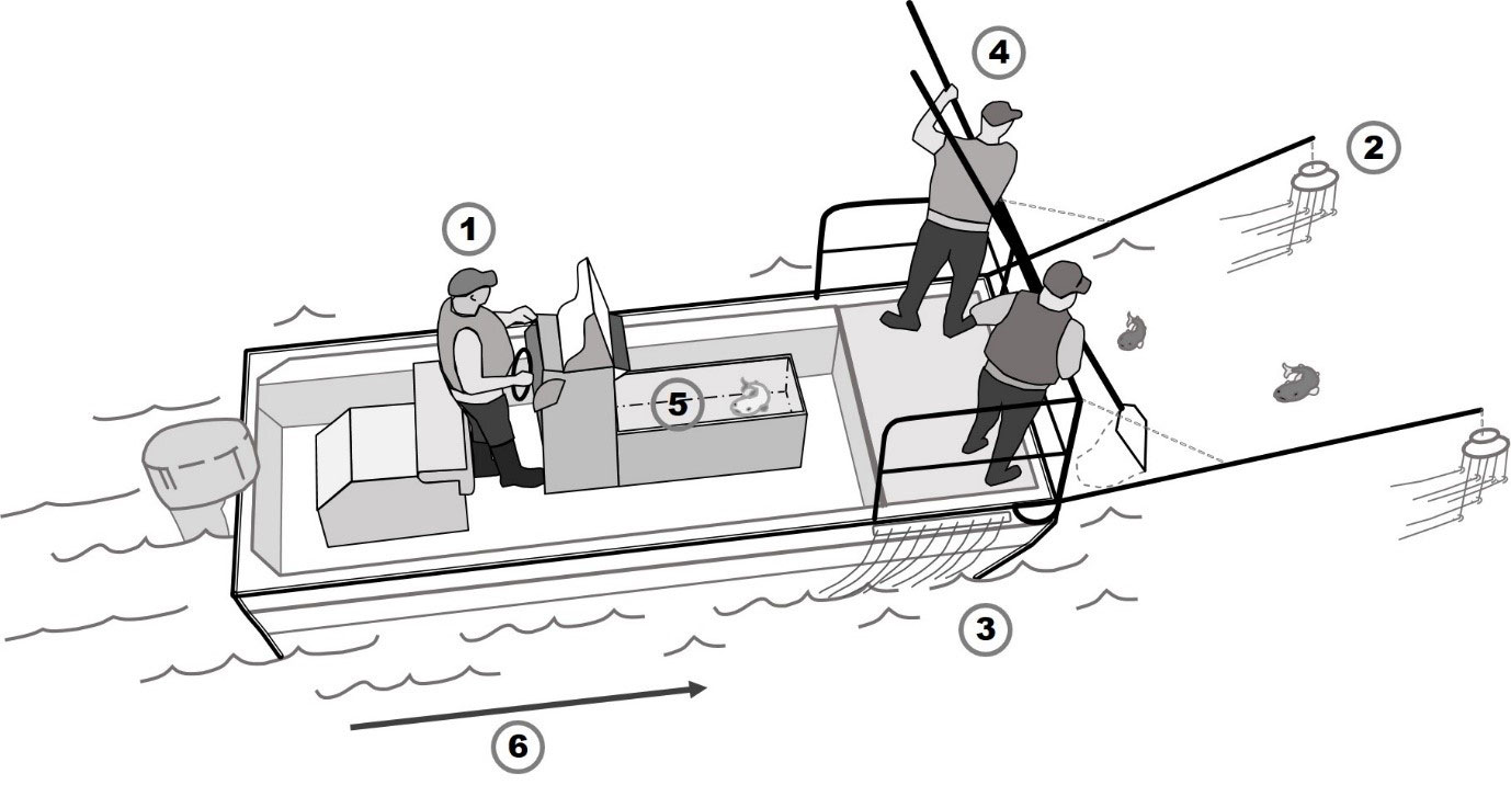 Schematisk skiss av elfiske. Illustration