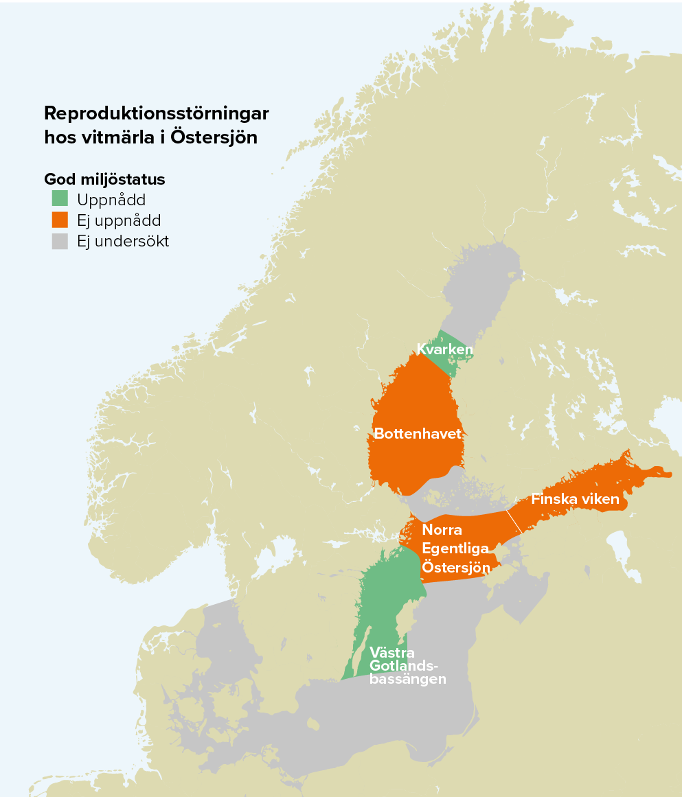 Karta som visar miljöstatus för vitmärlans reproduktion