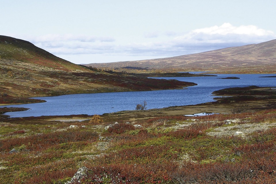 Sjö i fjällen