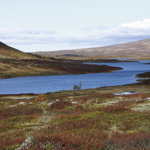 Sjö i fjällen